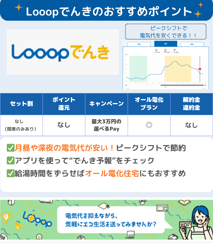 北海道でおすすめ Looopでんき