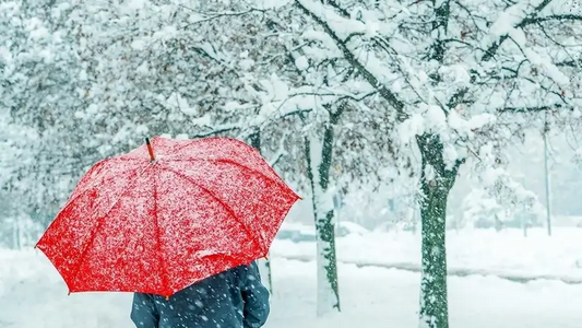 【2026年2月3日最新】❄️東京で雪が降るのはいつ？週末から寒波到来か｜雪の予想と家でできる防寒・節電対策