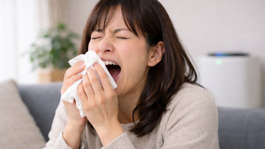 花粉空気清浄機の電気代はどれくらい？花粉症がひどい人は3月も電気代を注意すべき？を防ぐなら換気より空気清浄機？電気代比較